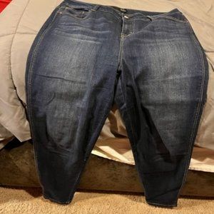 1822 Denim Anneta Vintage High Rise Skinny Jeans